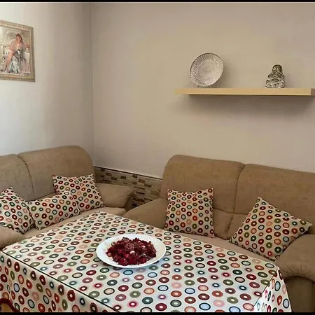 Palmera * إيسلا ديل مورال